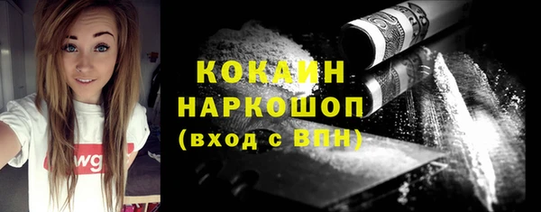 тгк Гусь-Хрустальный