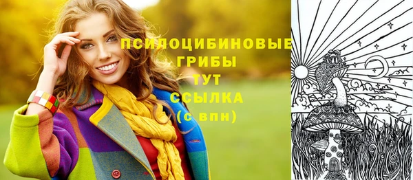 тгк Гусь-Хрустальный
