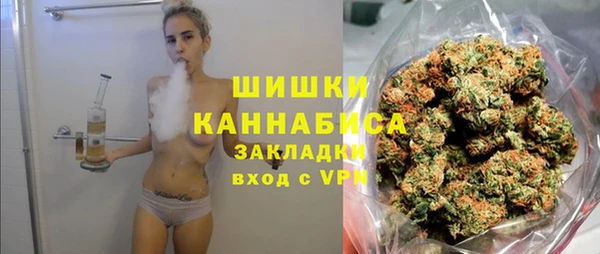 тгк Гусь-Хрустальный