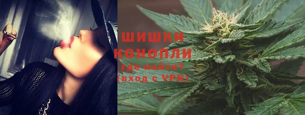 тгк Гусь-Хрустальный