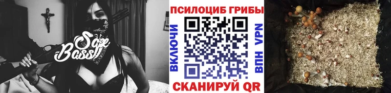 Купить где  Казань  Псилоцибиновые грибы MAGIC MUSHROOMS 